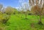 82 Mill Street, Owhango - Carousel 28