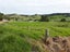 82 Devich Road, Wellsford - Carousel 3
