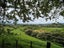 19 Exeter Place, Tihiotonga, Rotorua - Carousel 12