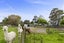 47C Caledonia Road, Ngongotaha, Rotorua - Carousel 21