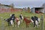 137 Roxburgh Street, Heriot, Tapanui - Carousel 23