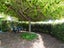 37 Barnard Avenue, Maraenui, Napier - Carousel 14