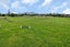 712 One Tree Point Road, Whangarei - Carousel 26