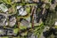 11 Musick Point Road, Bucklands Beach, Auckland - Carousel 2