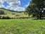 583 Kopuku Road, Maramarua Forest, Te Kauwhata - Carousel 50