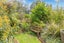 80 Herbert Street, Kihikihi, Te Awamutu - Carousel 27