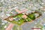 8 Reagan Road, Manukau, Auckland - Carousel 8