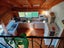 460 Corbett Road, Rotorua - Carousel 3