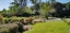 25 Browns Road, Tuapeka Mouth - Carousel 9