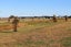 46 Te Hurunui Drive, Pegasus, Pegasus - Carousel 1