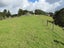 227 Mangahui Road, Whareora, Whangarei - Carousel 3