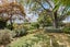 620 Karaka Road, Karaka, Papakura - Carousel 17
