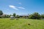 14 Hathaway Street, Spring Creek - Carousel 23