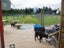 1687 Broadlands Road, Broadlands, Reporoa - Carousel 20