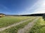12 Tresillian Drive, Christchurch - Carousel 17