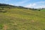 90D Leccino Valley Road, Mangonui, Mangōnui - Carousel 8