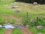 0 Tremain Road, Ruatangata West, Kamo - Carousel 21