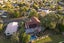 31 John Downs Drive, Browns Bay, Auckland - Carousel 28