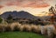 13 Double Cone Road, Jacks Point, Queenstown - Carousel 9