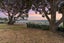 31 The Strand, Onetangi, Waiheke Island - Carousel 8