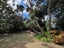 30A Manawa Road, Remuera, Auckland - Carousel 3