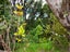162 Waiaua Road, Hihi, Mangōnui - Carousel 20