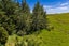 236 Prictor Road, Wellsford, Wellsford - Carousel 23