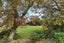 4 Holgate Road, Kohimarama, Auckland - Carousel 3