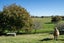 139 Maungakawa Road, Cambridge, Hamilton - Carousel 24
