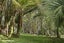 6388A South Road, Pungarehu, Opunake - Carousel 20