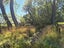 270 Stokes Road, Balcairn, Amberley - Carousel 9