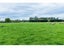 451 Timaru - Temuka Highway, LEVELS, TIMARU - Carousel 20