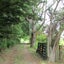 303 Totara North Road, Totara North, Kaeo - Carousel 3