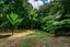 22 Waikarekare Lane, Karekare, Auckland - Carousel 9