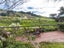 345B Mahia East Coast Road, Nuhaka - Carousel 18