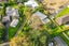 12 Gordon Avenue, Milford, Auckland - Carousel 1
