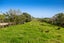 96 Dormer Road, Helensville - Carousel 9
