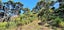 84 Huia Road, Titirangi, Auckland - Carousel 5