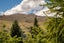 60 Dalefield Road, Dalefield, Queenstown - Carousel 20