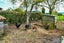 2086 State Highway 2, Maramarua, Pokeno - Carousel 22