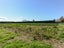 272 Meeanee Road, Meeanee, Napier - Carousel 7