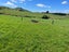 0 Ngamoko Road, Norsewood, Norsewood - Carousel 7