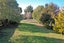 6 Bourke Street, Waikouaiti, Waikouaiti - Carousel 4