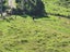 99 Mangamanihi Road, Kaeo - Carousel 23