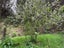 0 Pretoria Road, Shannon, Shannon - Carousel 5