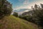 239 Houghton Bay Road, Houghton Bay, Wellington - Carousel 5