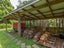 35 Onekaka Iron Works Road, Takaka - Carousel 13
