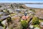 221 Grange Road, Otumoetai, Tauranga, Bay Of Plenty - Carousel 34