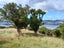0 Kakapo Bay, Port Underwood, Picton - Carousel 11