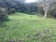 0 Horeke Road, Horeke, Okaihau - Carousel 9